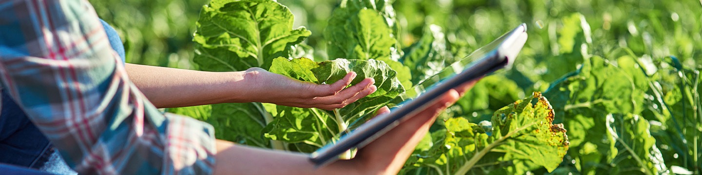 BTS ACSE - Analyse Conduite Stratégie Entreprise Agricole