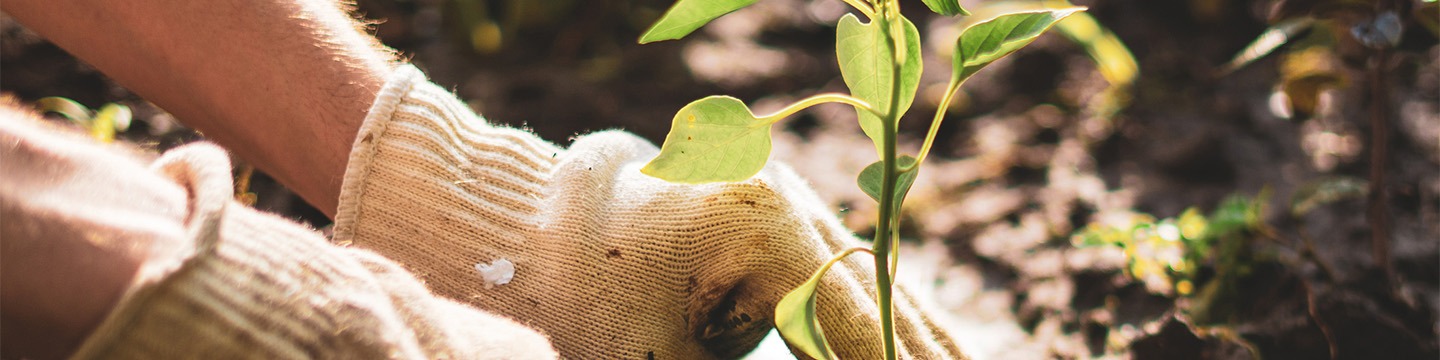 BAC PRO GMNF - GESTION MILIEUX NATURELS ET DE LA FAUNE